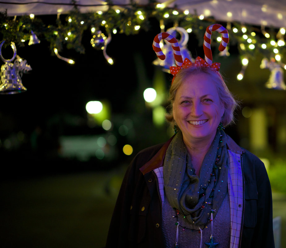 2016 Carefree Christmas Festival